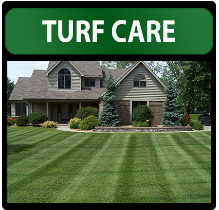 Turf Care 